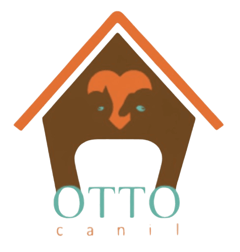 Otto Canil - Criação com amor